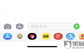 元坝债务清欠服务